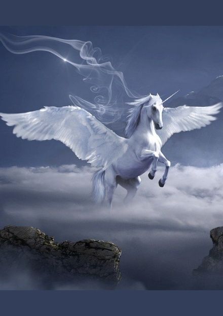 Pegasus in flight